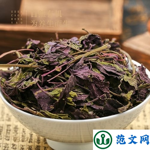 紫苏叶茶